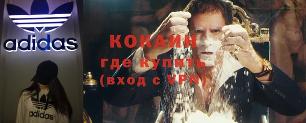прущие грибы Кулебаки