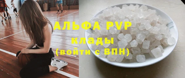 стафф Коряжма