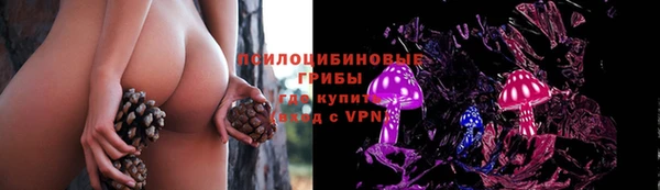 прущие грибы Кулебаки