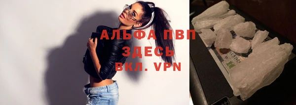 прущие грибы Кулебаки