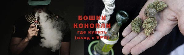 прущие грибы Кулебаки