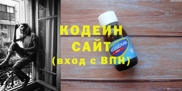 прущие грибы Кулебаки