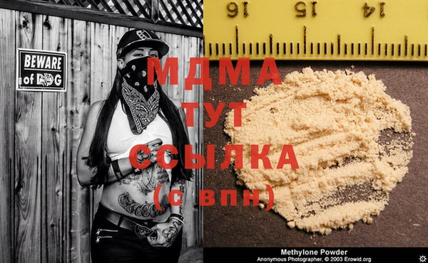 прущие грибы Кулебаки
