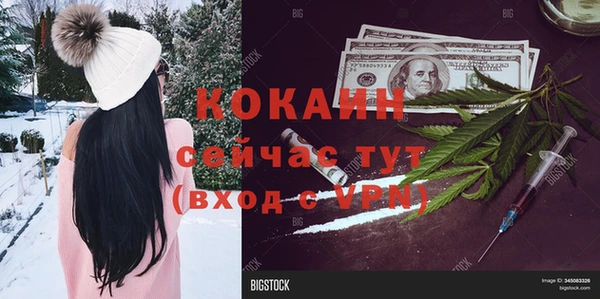 прущие грибы Кулебаки