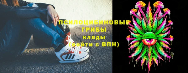 героин Фёдоровский