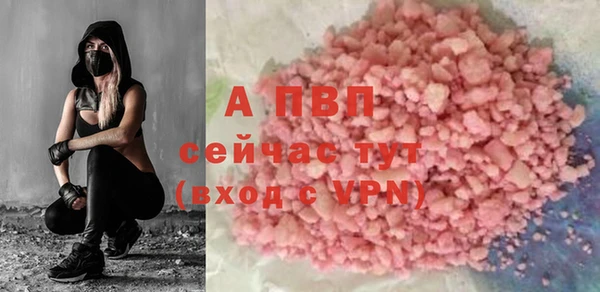 прущие грибы Кулебаки