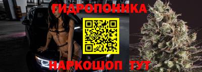 гашишное масло Сланцы
