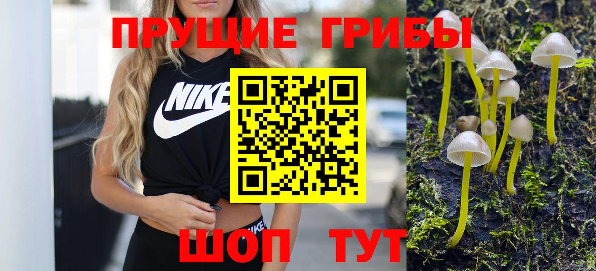 Псилоцибиновые грибы Psilocybine cubensis Ливны