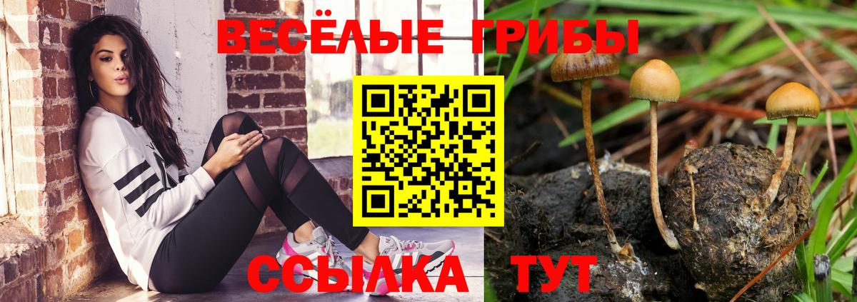 Галлюциногенные грибы мухоморы  продажа наркотиков  Галлюциногенные грибы Magic Shrooms  Ливны  Вход с VPN 